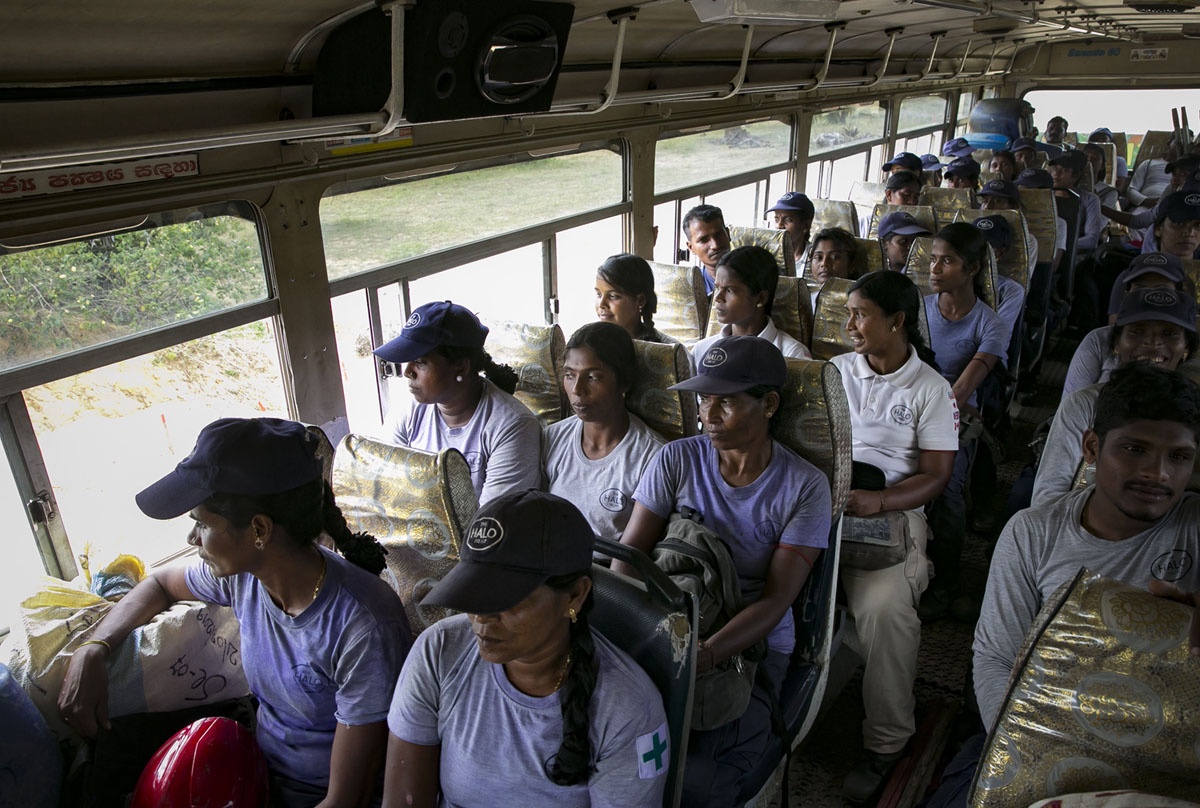 phụ nữ dò mìn ở Sri Lanka ảnh 2 phu nu do min o Sri Lanka anh 2