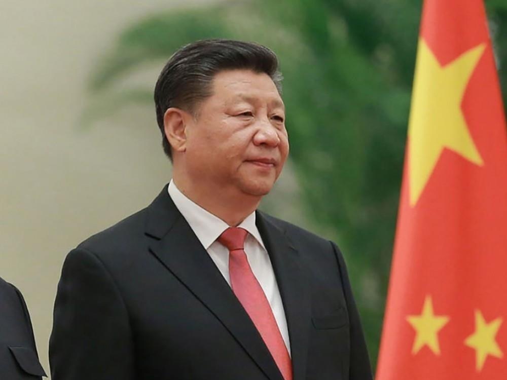 Doi 'ho lon' cung ong Tap Can Binh cong du chau Au hinh anh