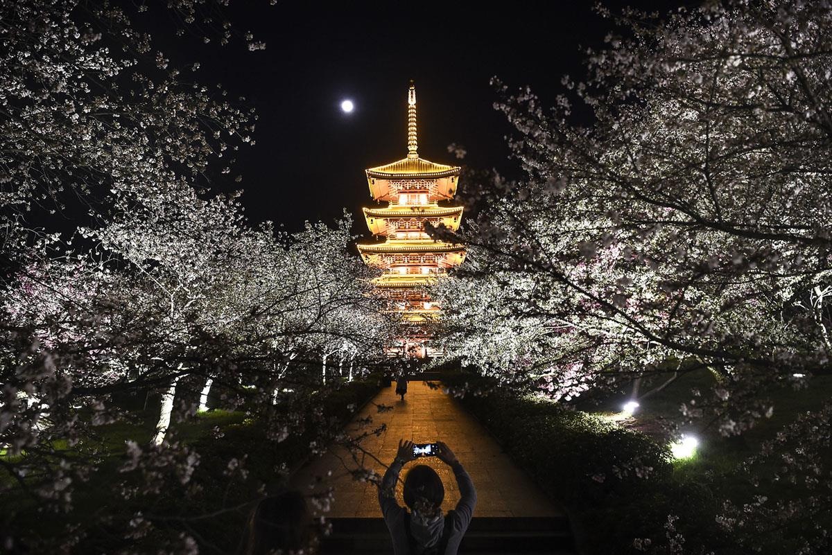 xa sung o New Zealand anh 13