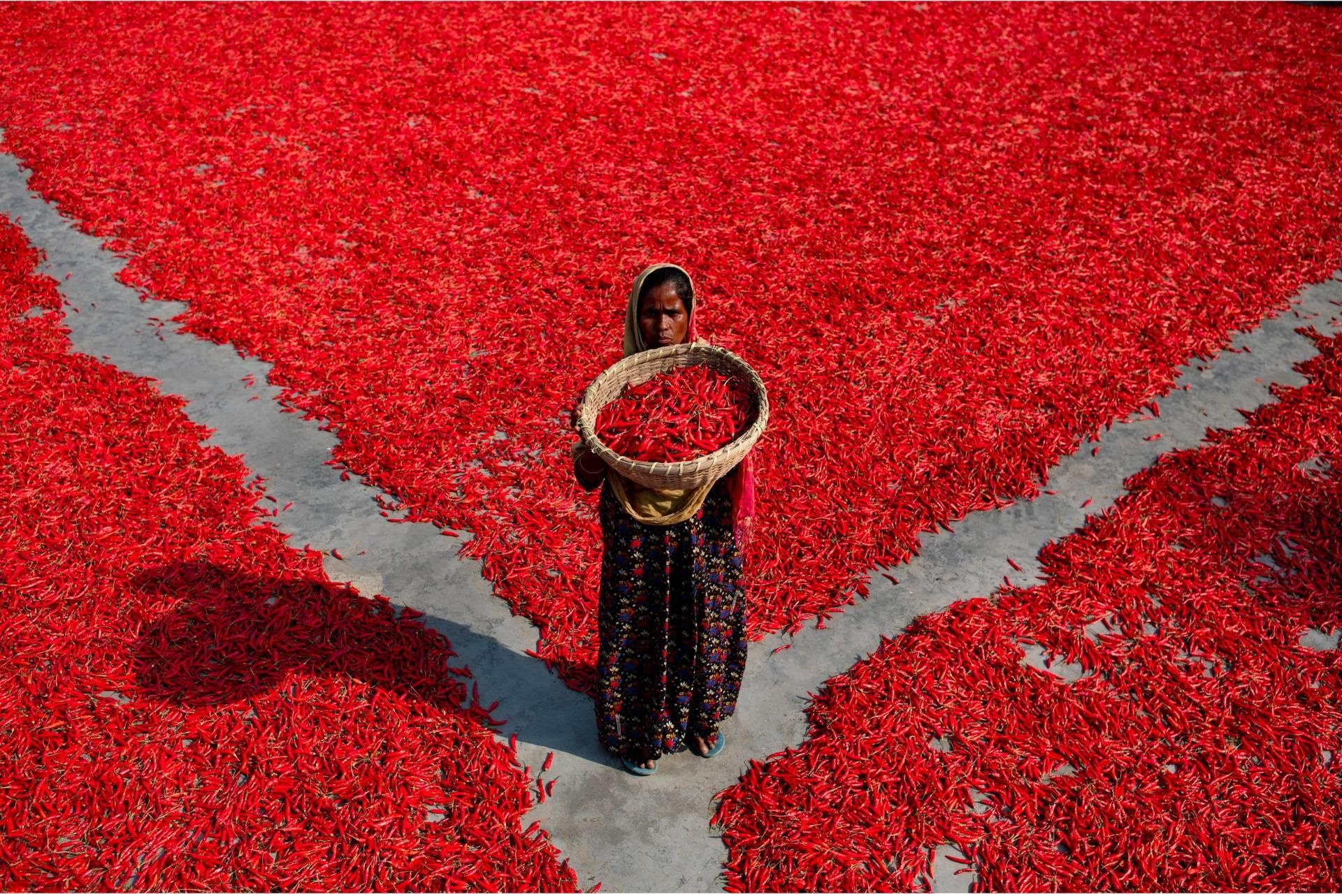 xa sung o New Zealand anh 3