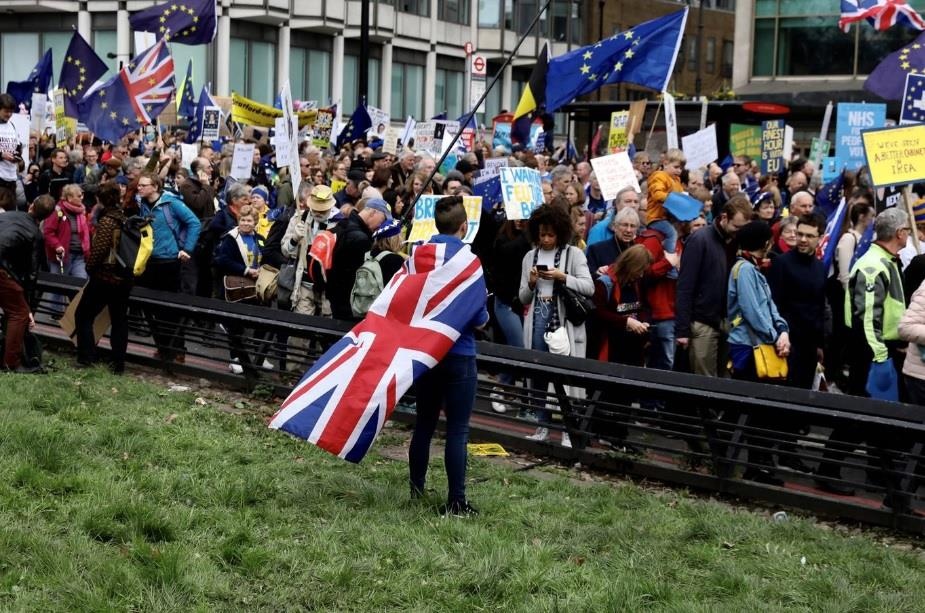 bieu tinh phan doi Brexit anh 12