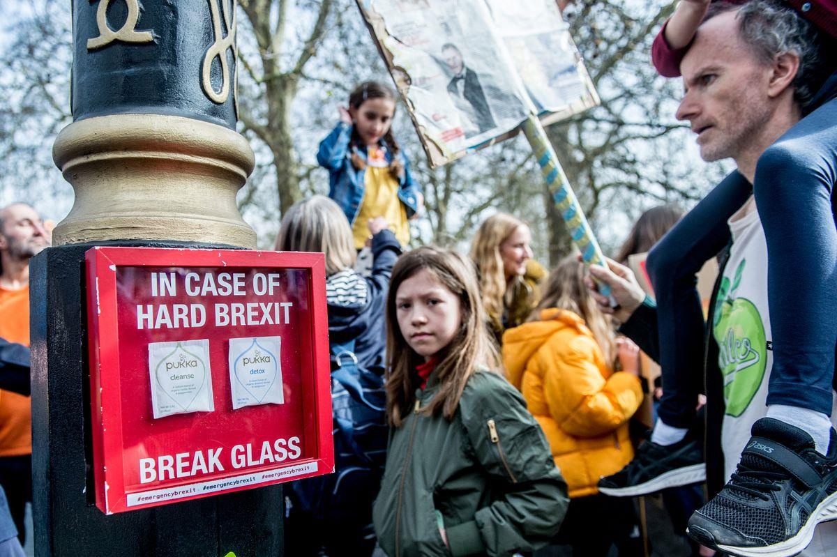bieu tinh phan doi Brexit anh 5