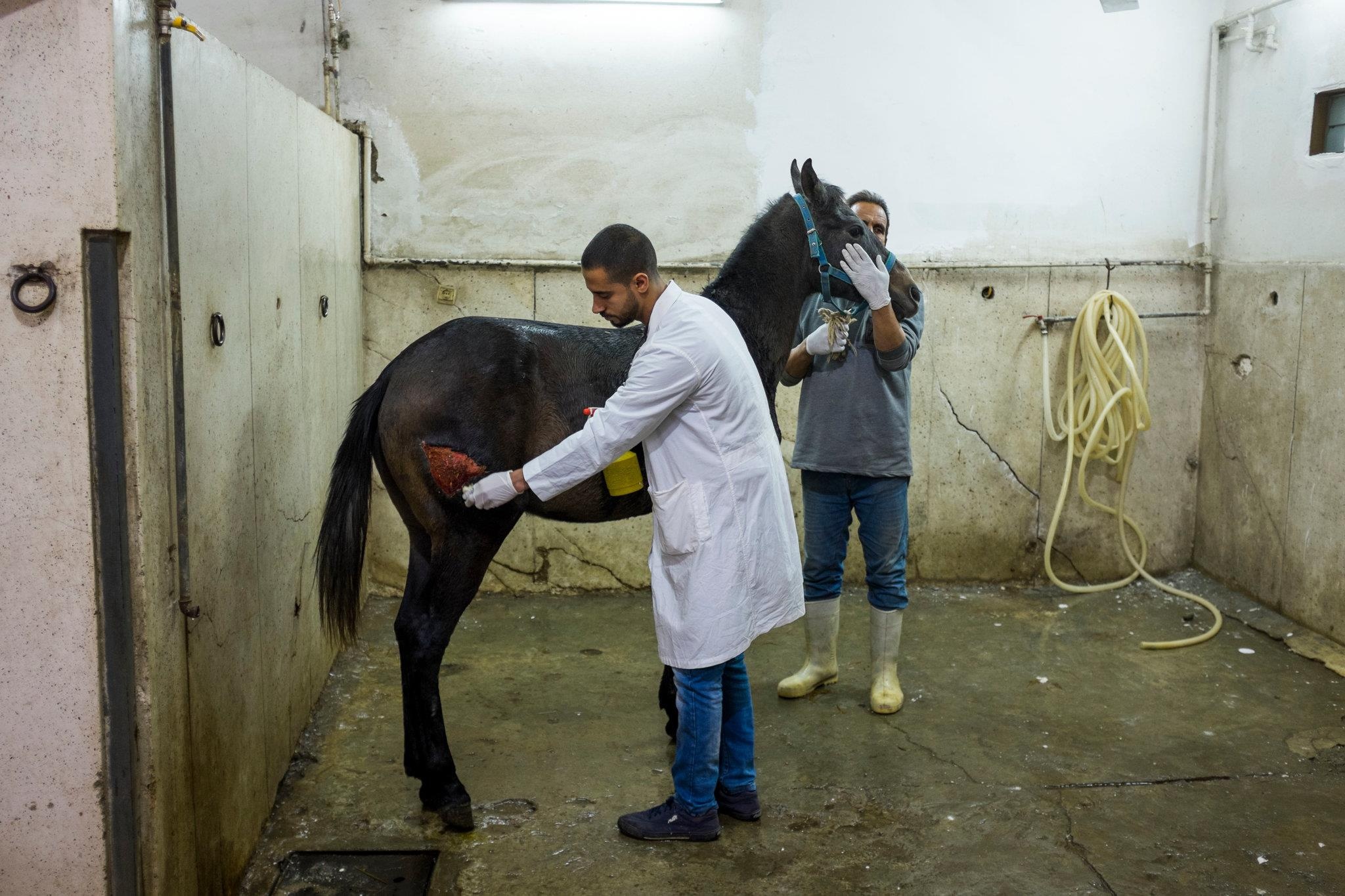 cuoi lac da o Ai Cap anh 10