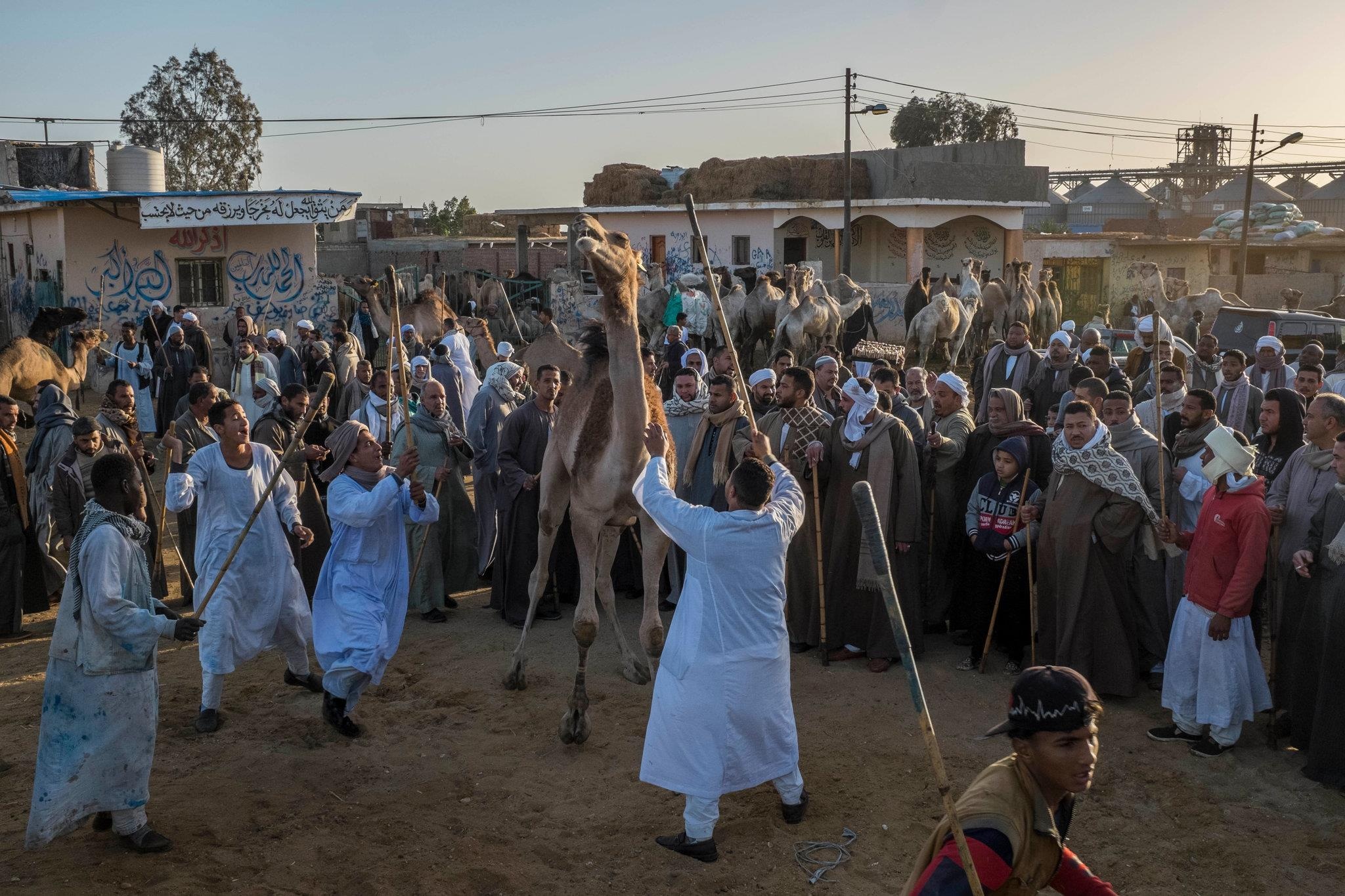 cuoi lac da o Ai Cap anh 5