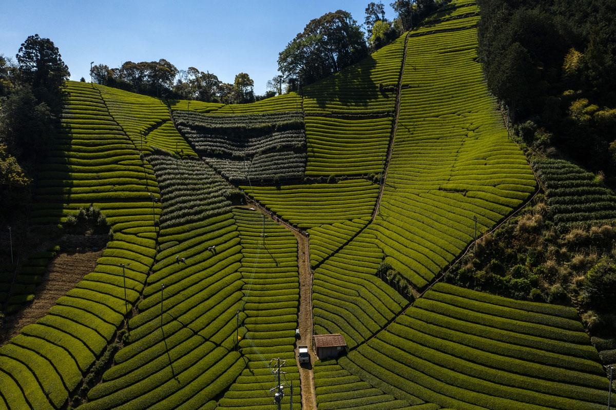 Nhà thờ Đức Bà ảnh 10 Nha tho Duc Ba anh 10