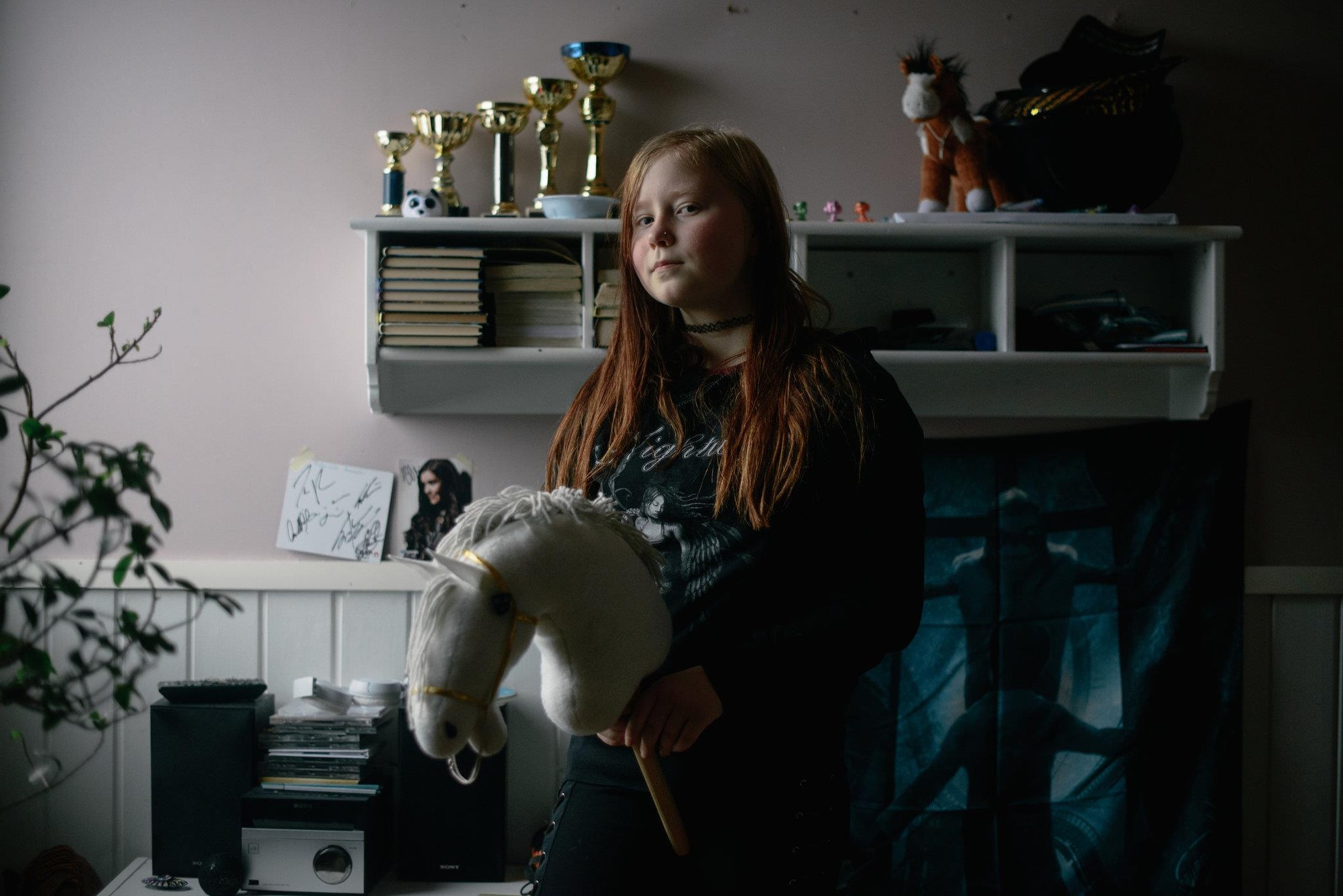 gậy đầu ngựa ảnh 10 gay dau ngua anh 10