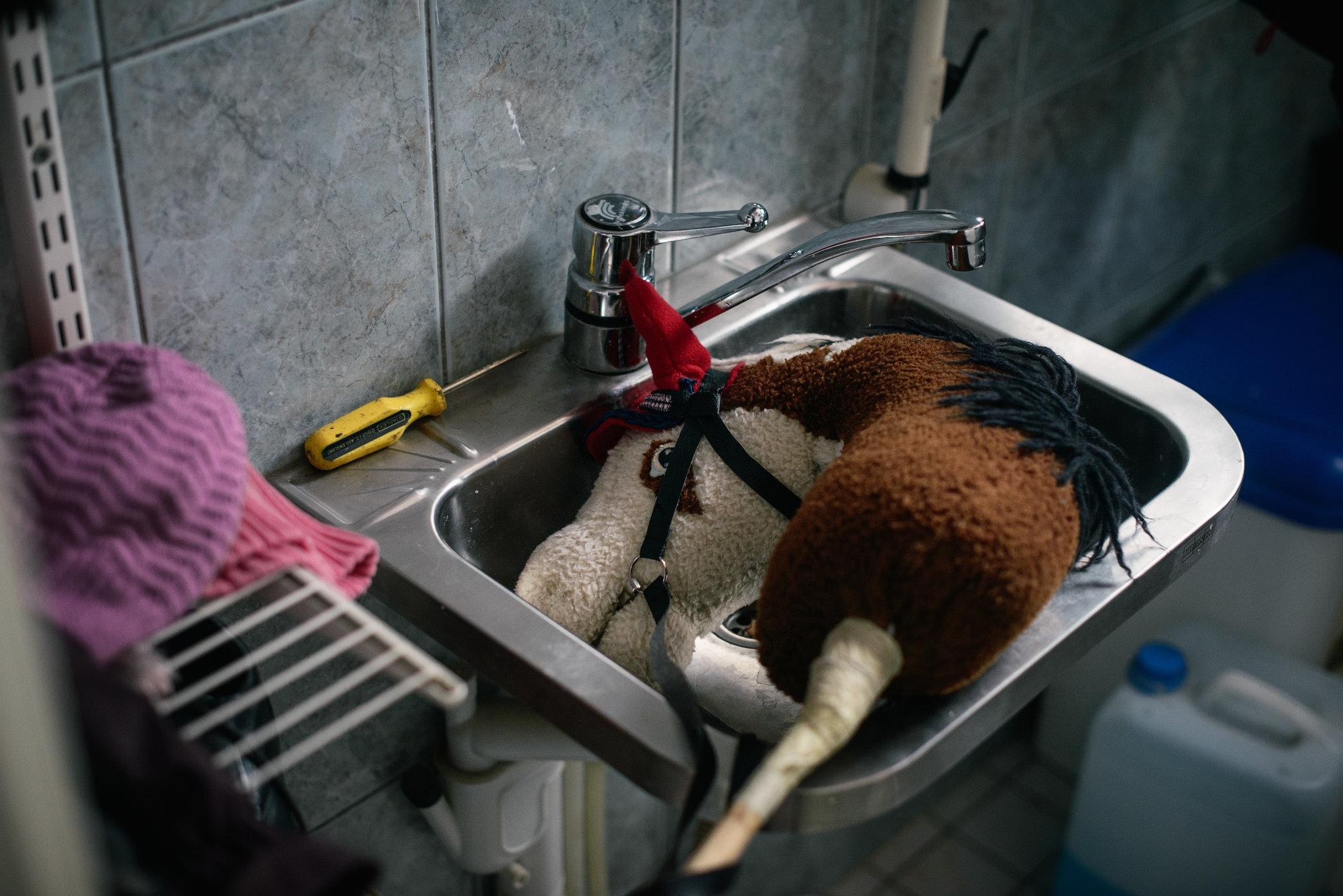 gậy đầu ngựa ảnh 12 gay dau ngua anh 12