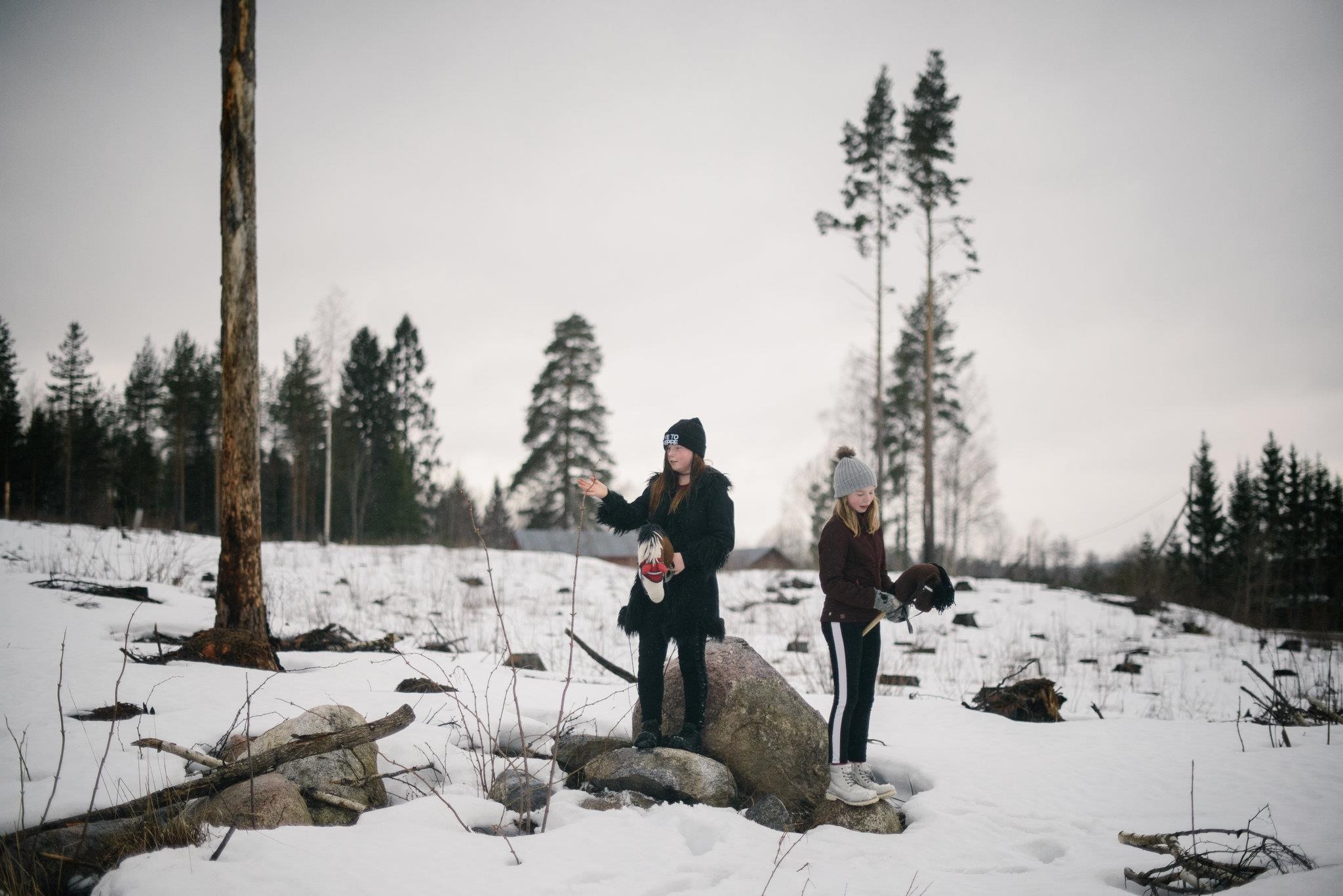 gậy đầu ngựa ảnh 3 gay dau ngua anh 3