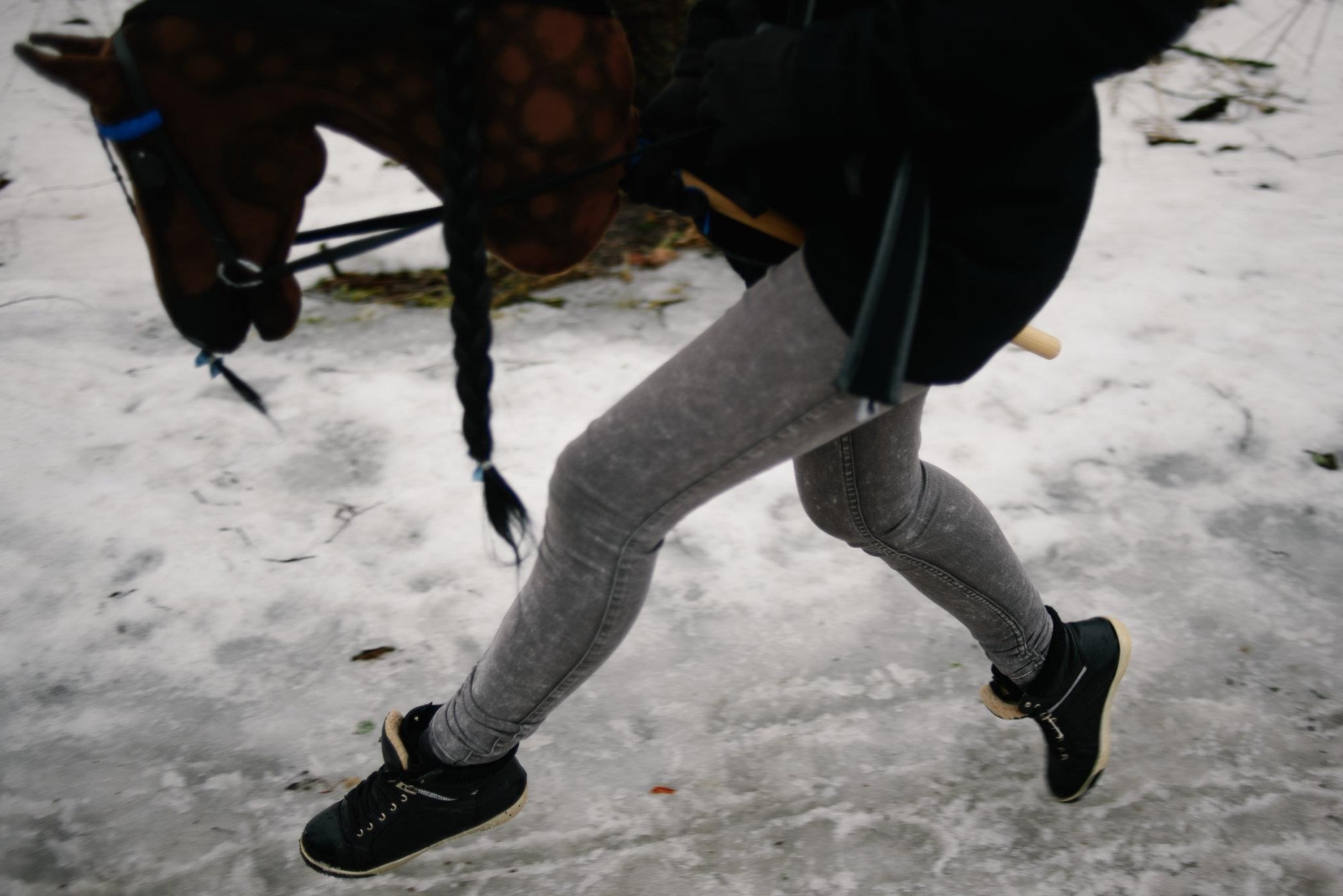 gậy đầu ngựa ảnh 5 gay dau ngua anh 5