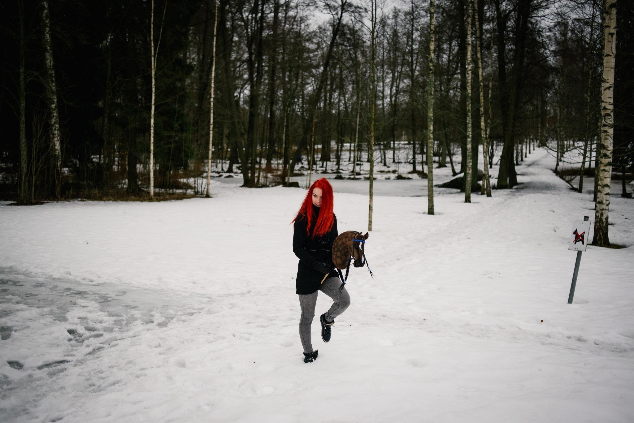 gậy đầu ngựa ảnh 6 gay dau ngua anh 6