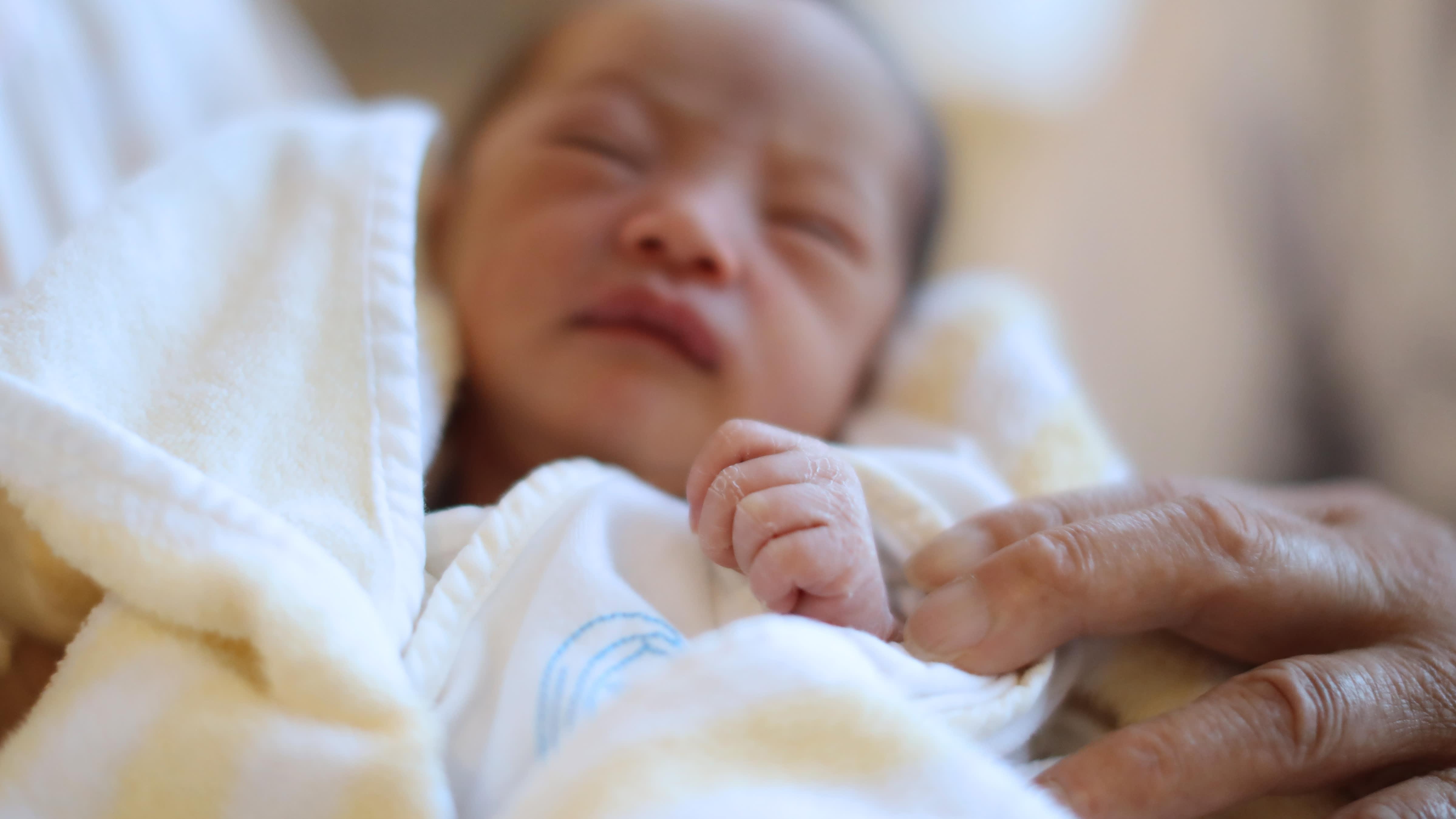 gia hoa dan so anh 2