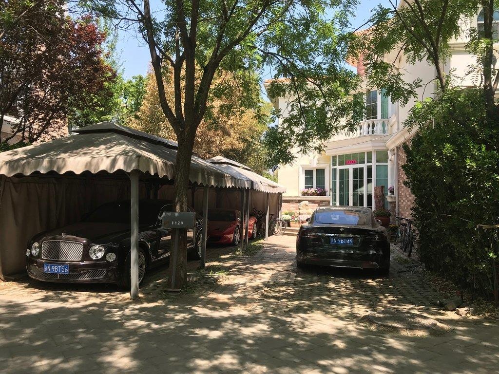 chay vao dai hoc My anh 2