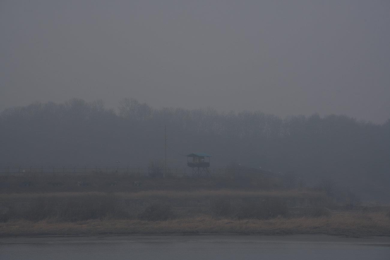 dong vat hoang da o DMZ anh 5