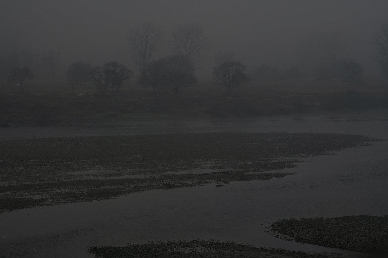 dong vat hoang da o DMZ anh 8