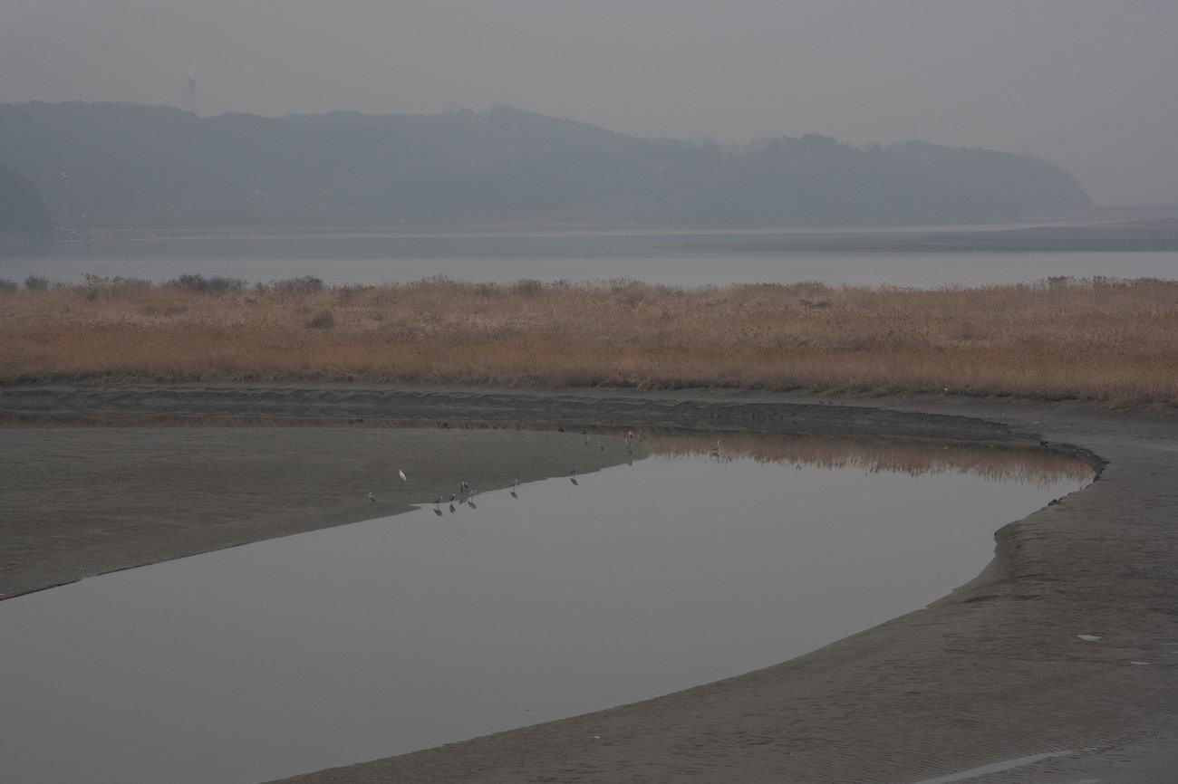 dong vat hoang da o DMZ anh 12