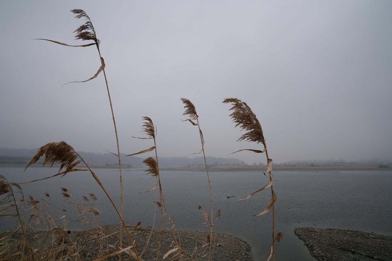 dong vat hoang da o DMZ anh 13