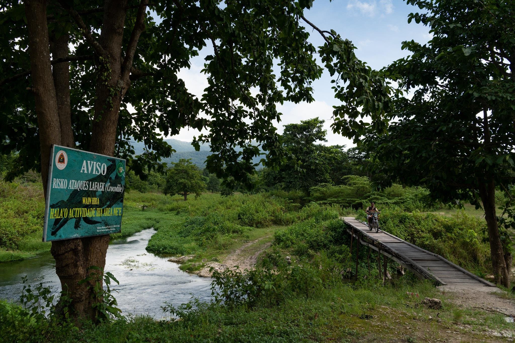 cá sấu ăn thịt người ảnh 2 ca sau an thit nguoi anh 2