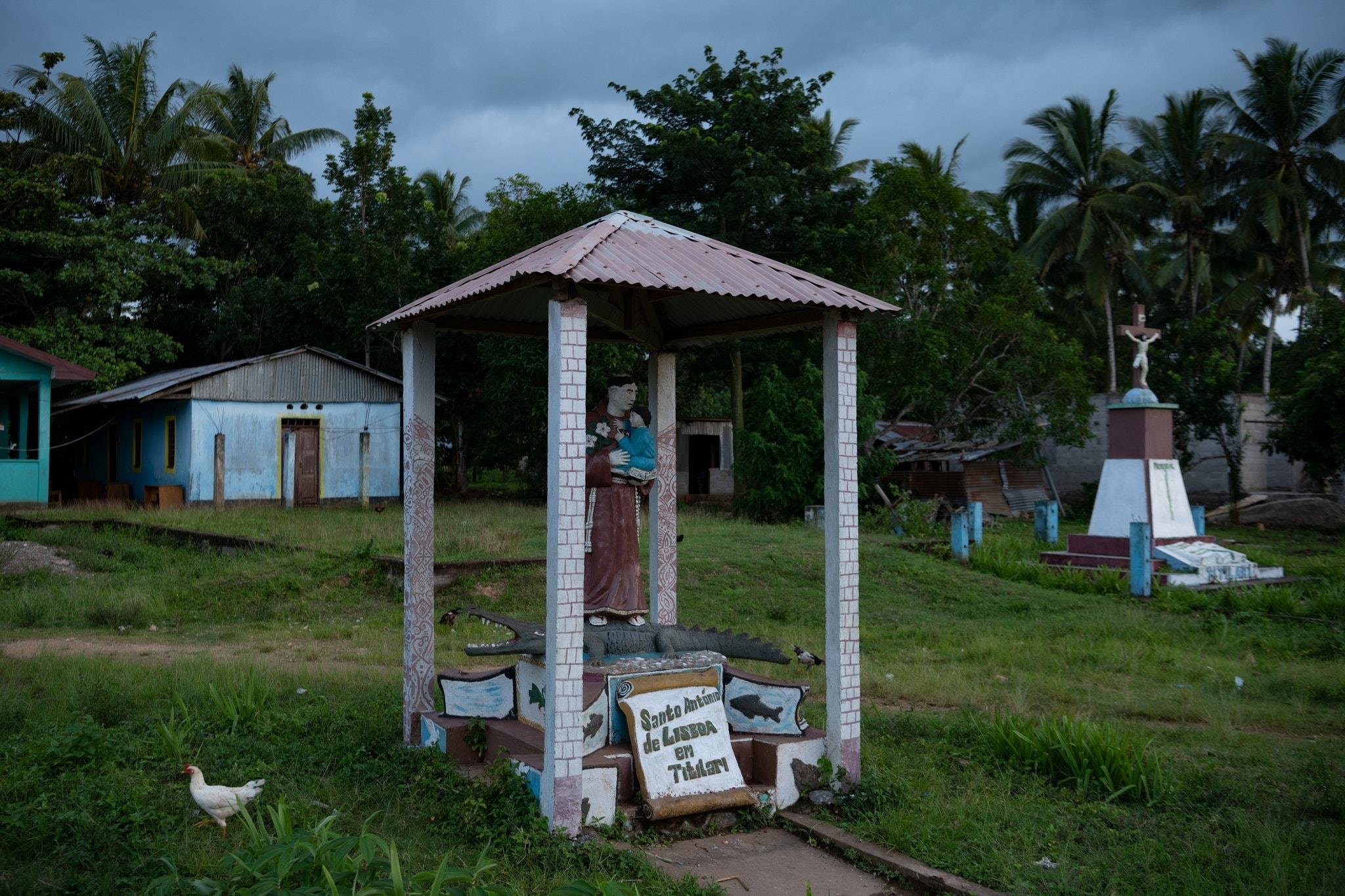 cá sấu ăn thịt người ảnh 4 ca sau an thit nguoi anh 4