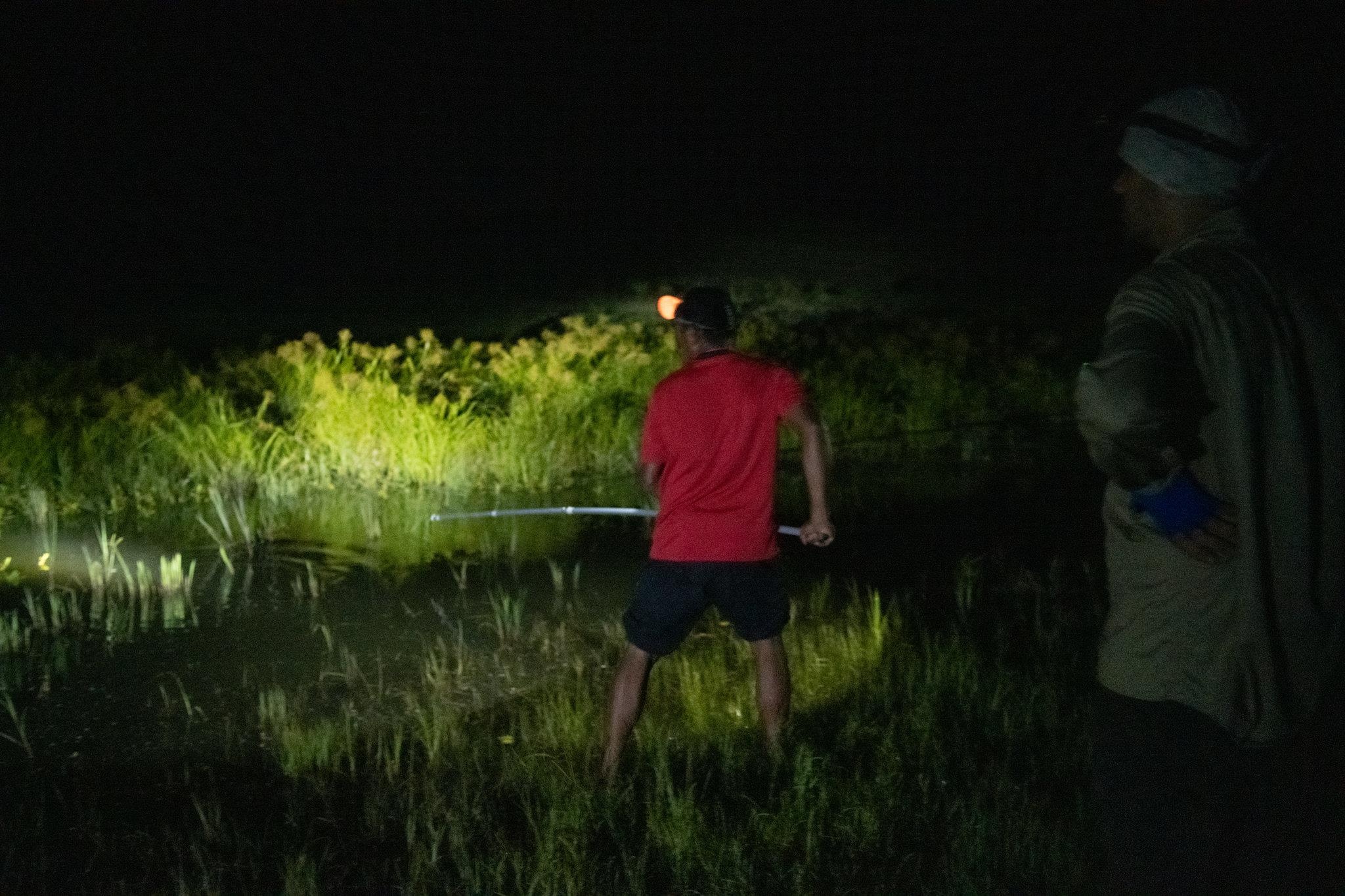 cá sấu ăn thịt người ảnh 7 ca sau an thit nguoi anh 7