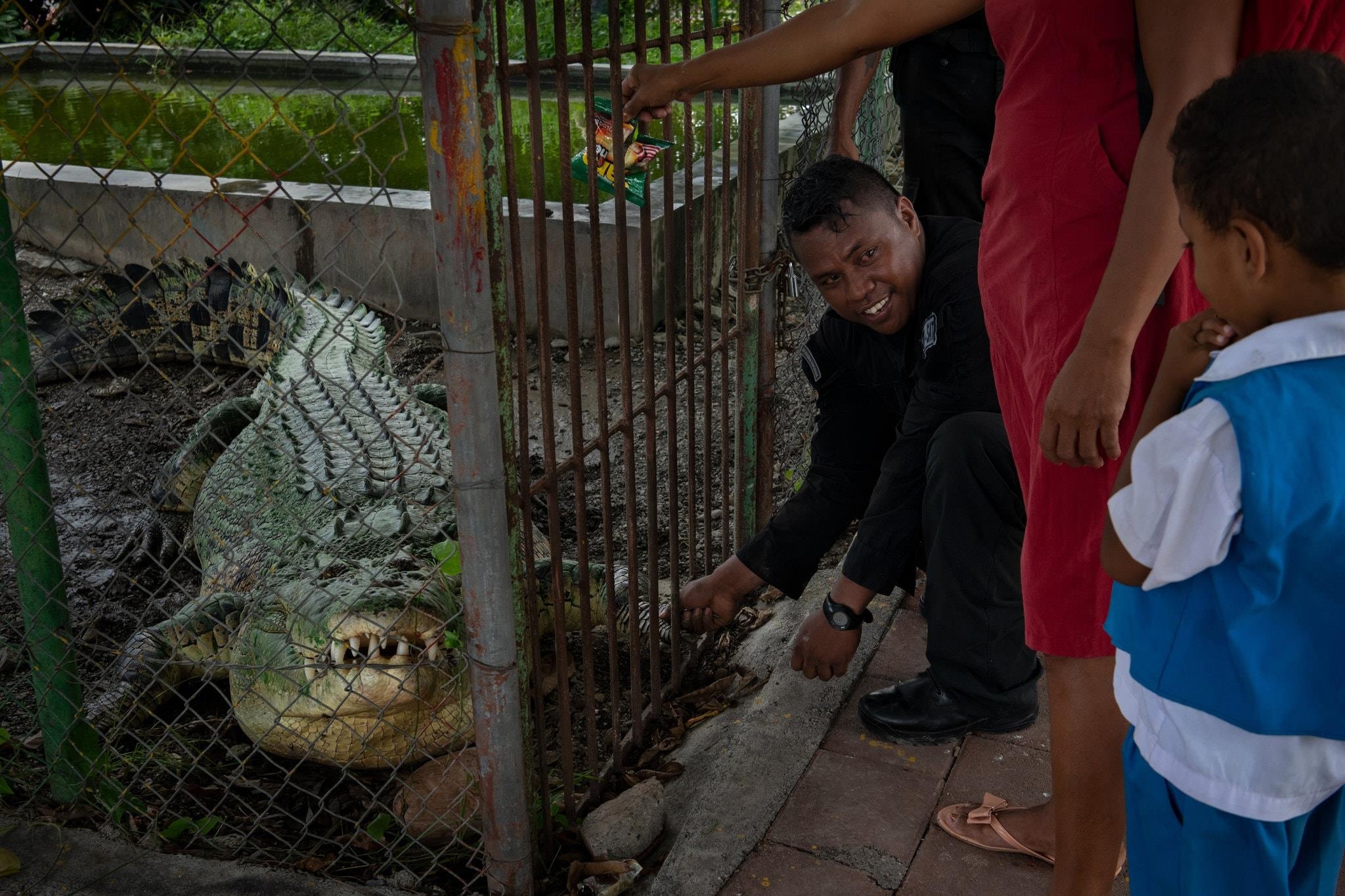 cá sấu ăn thịt người ảnh 9 ca sau an thit nguoi anh 9