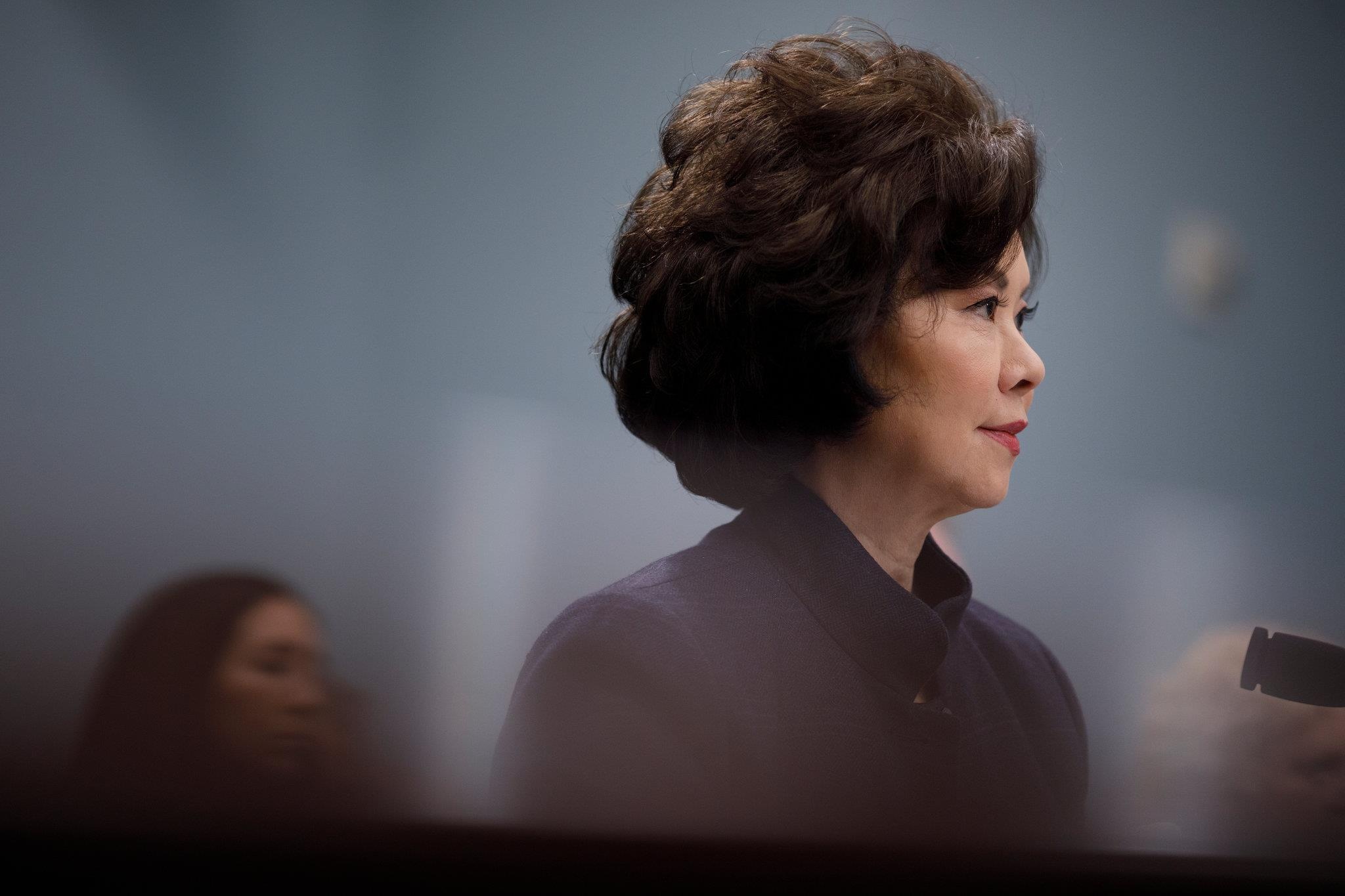 Elaine Chao ảnh 1 Elaine Chao anh 1