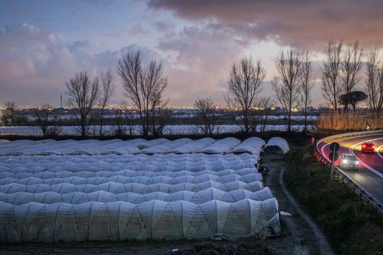 boc lot trong nganh thuoc la anh 1