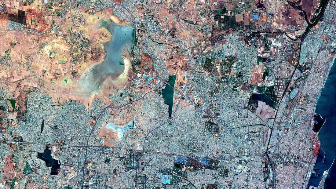 gau Bac Cuc o Nga anh 4