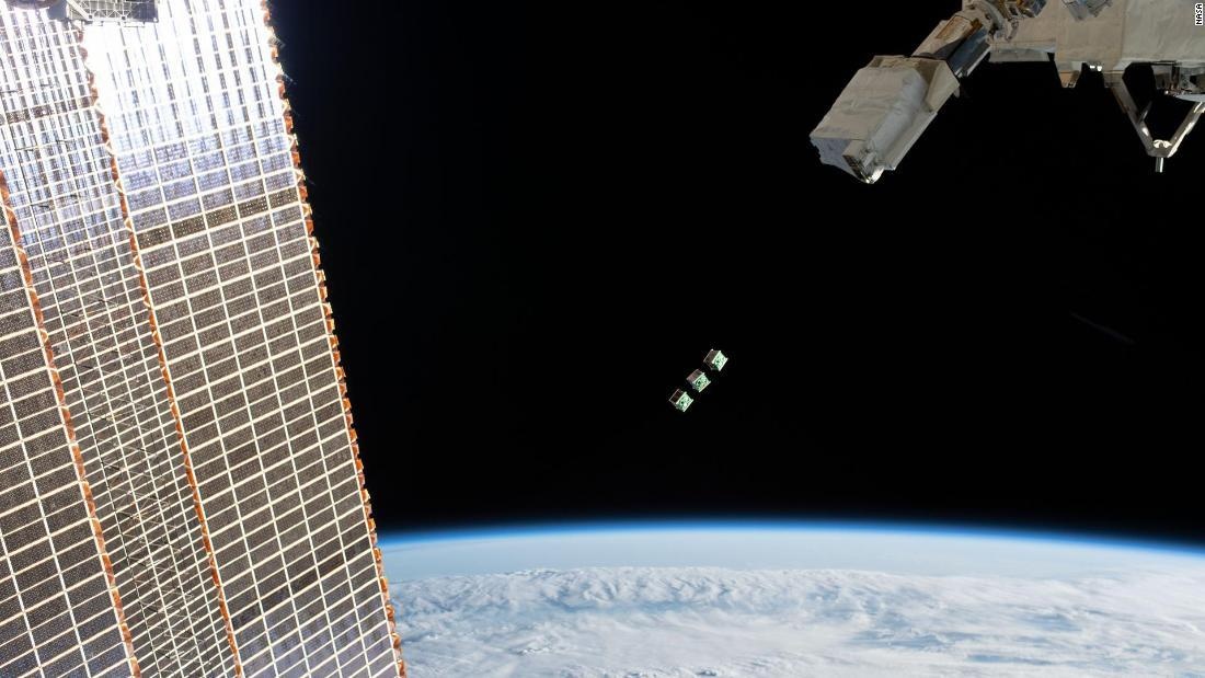 gau Bac Cuc o Nga anh 13