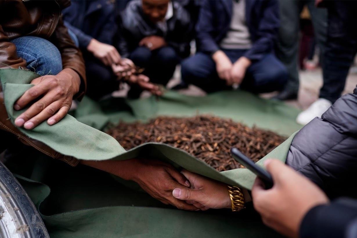 dong trung ha thao anh 9