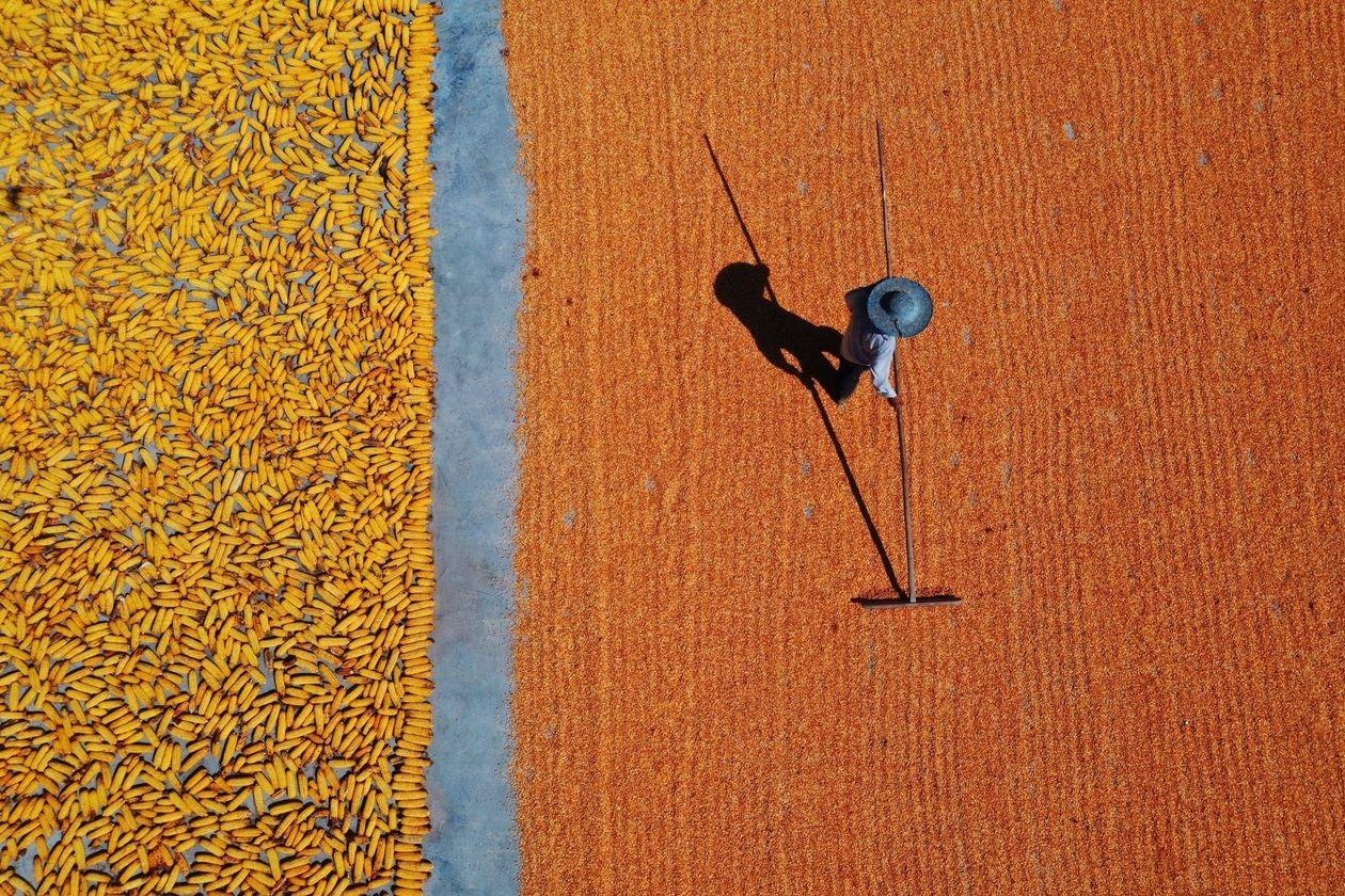 bieu tinh o Hong Kong anh 7