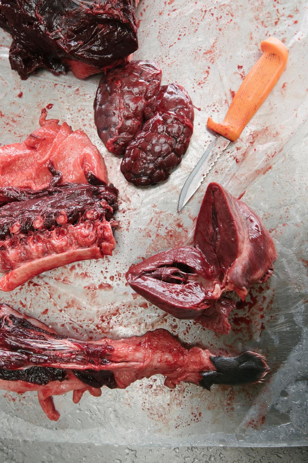 ben trong dao Greenland anh 4