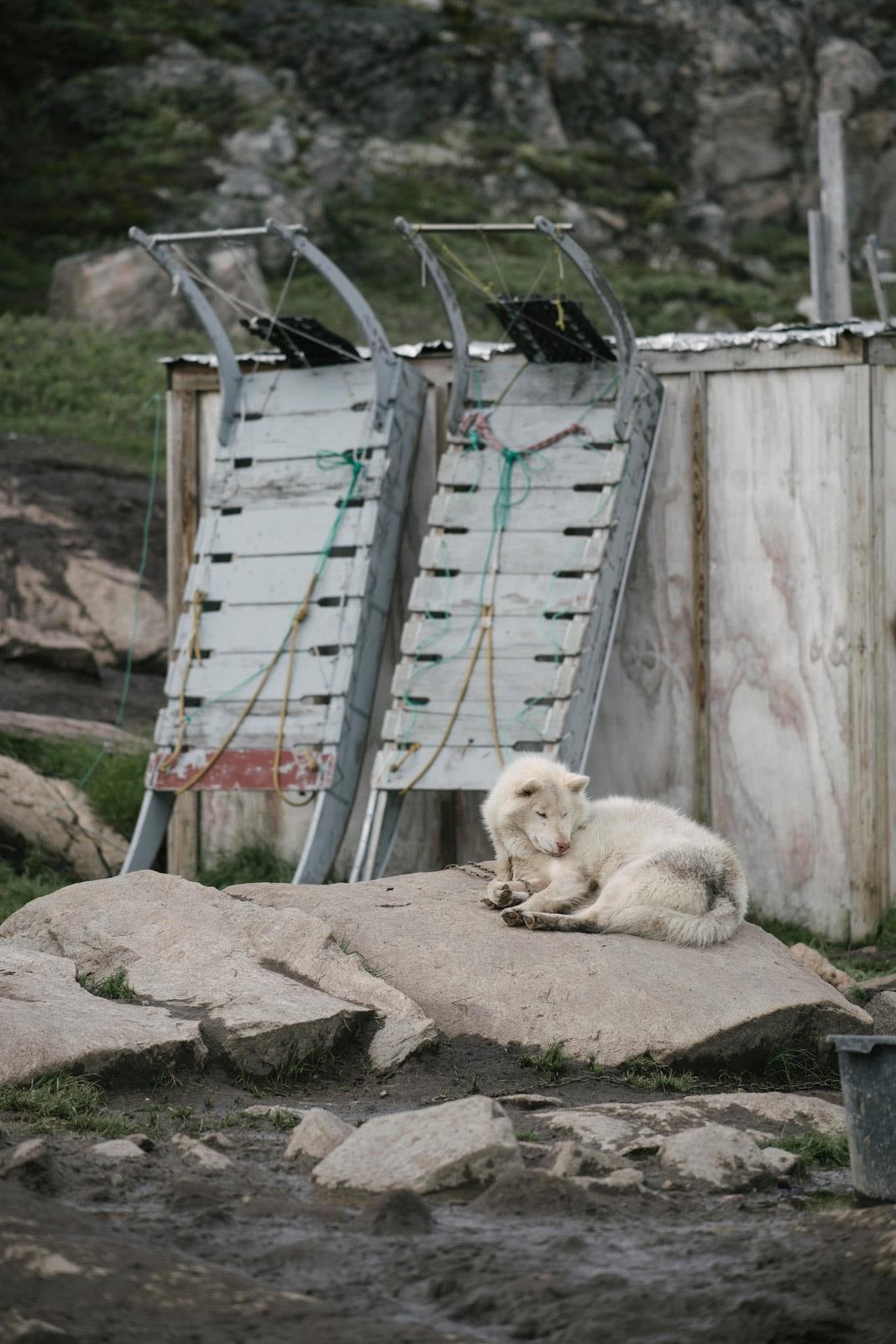 ben trong dao Greenland anh 15