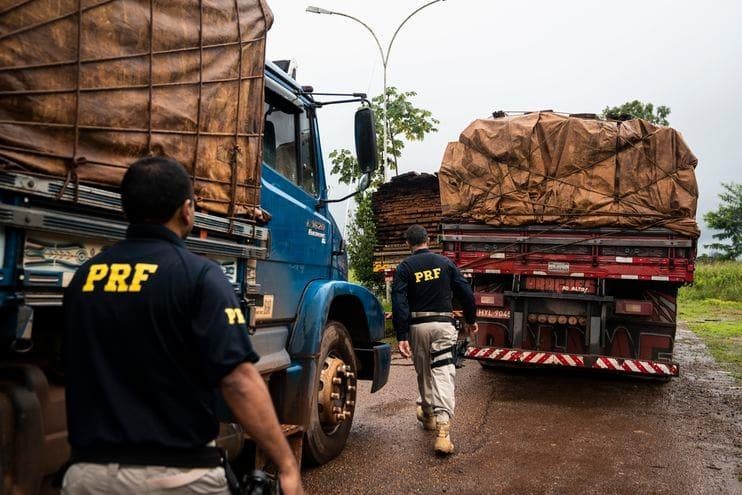 chay rung Amazon anh 2