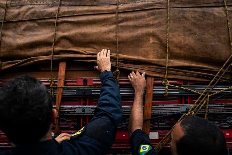 chay rung Amazon anh 3