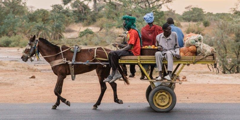 Motor hien dai doi dau xe ngua keo 'mot thoi vang bong' o Senegal hinh anh