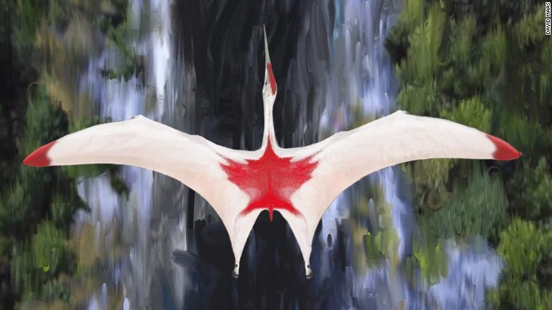 Phat hien 'rong bang gia' khong lo o Bac My 77 trieu nam truoc hinh anh