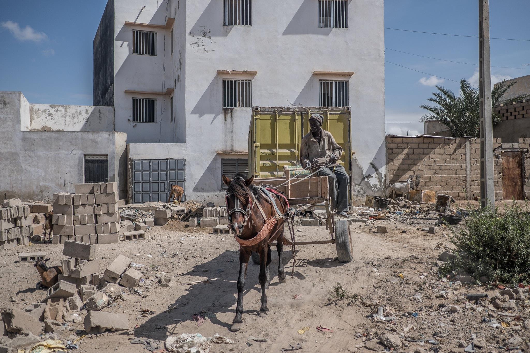 ngua keo xe o Dakar anh 5