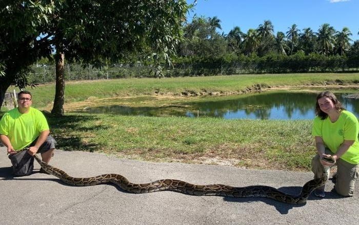 Bat duoc tran Mien Dien nang 45 kg o Florida hinh anh