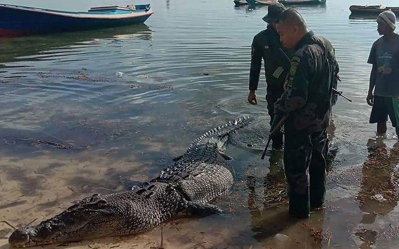 Phat hien thi the trong ham ca sau khong lo o Philippines hinh anh