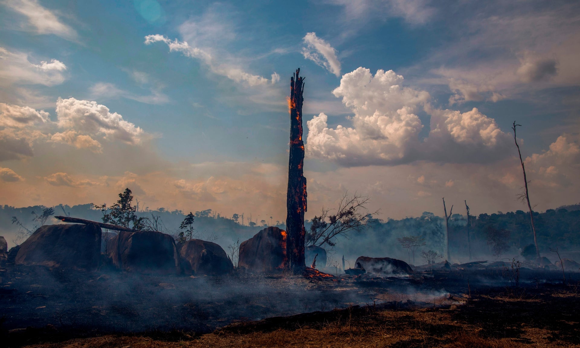 Rung Amazon se cham 'gioi han khong the dao nguoc' vao nam 2021 hinh anh