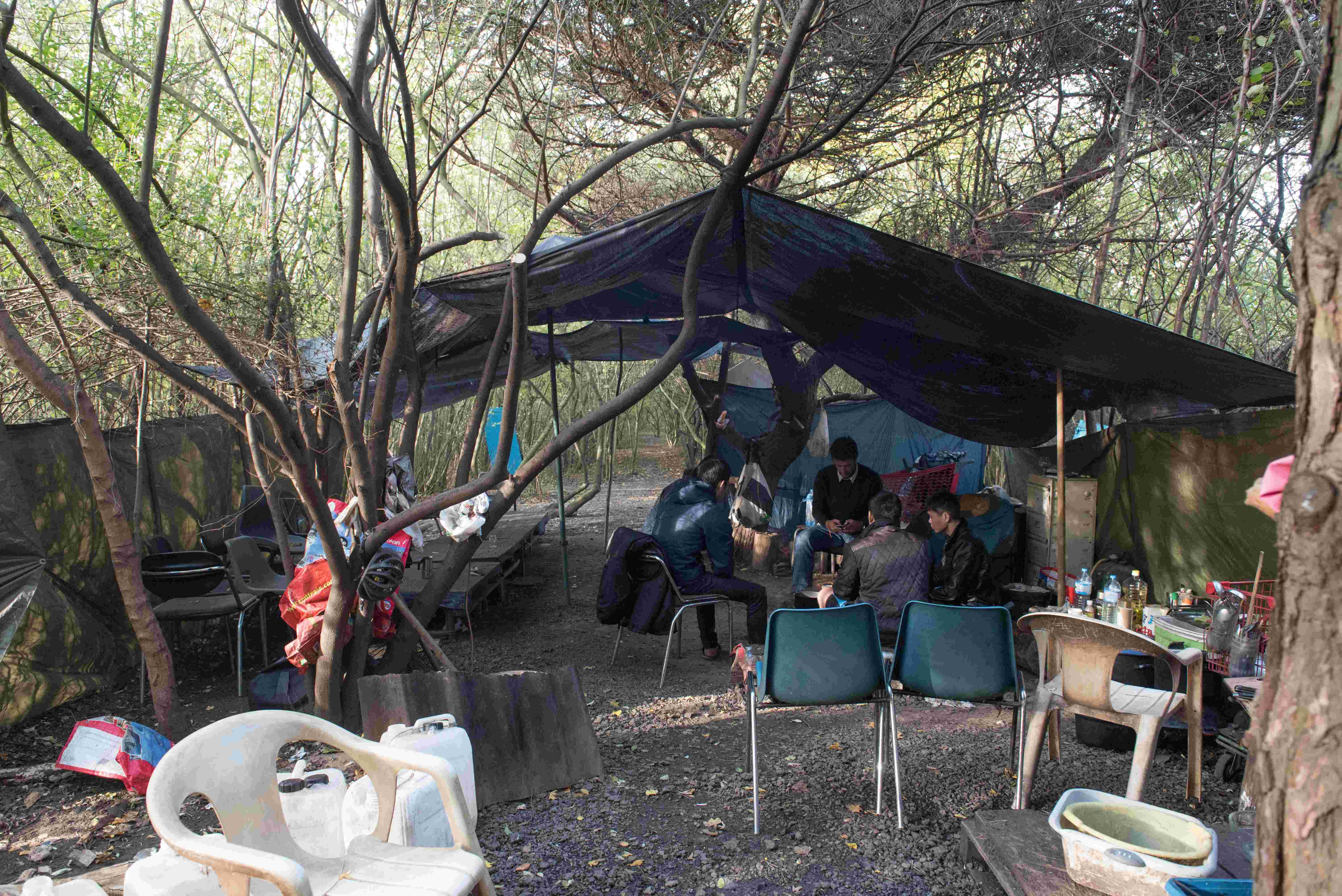 trai ti nan o Phap cua nguoi Viet anh 2