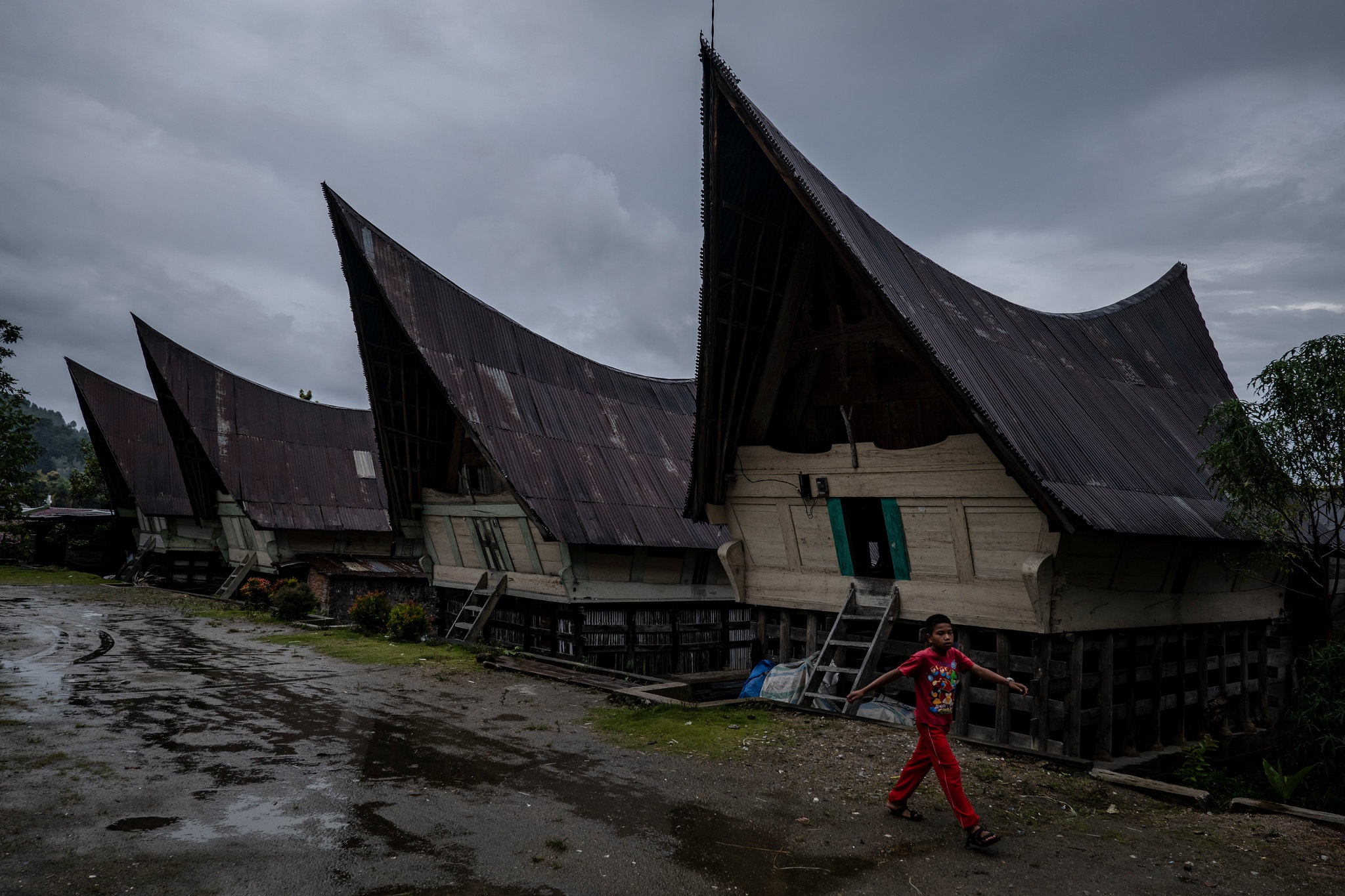 le hoi lon o Indonesia anh 11