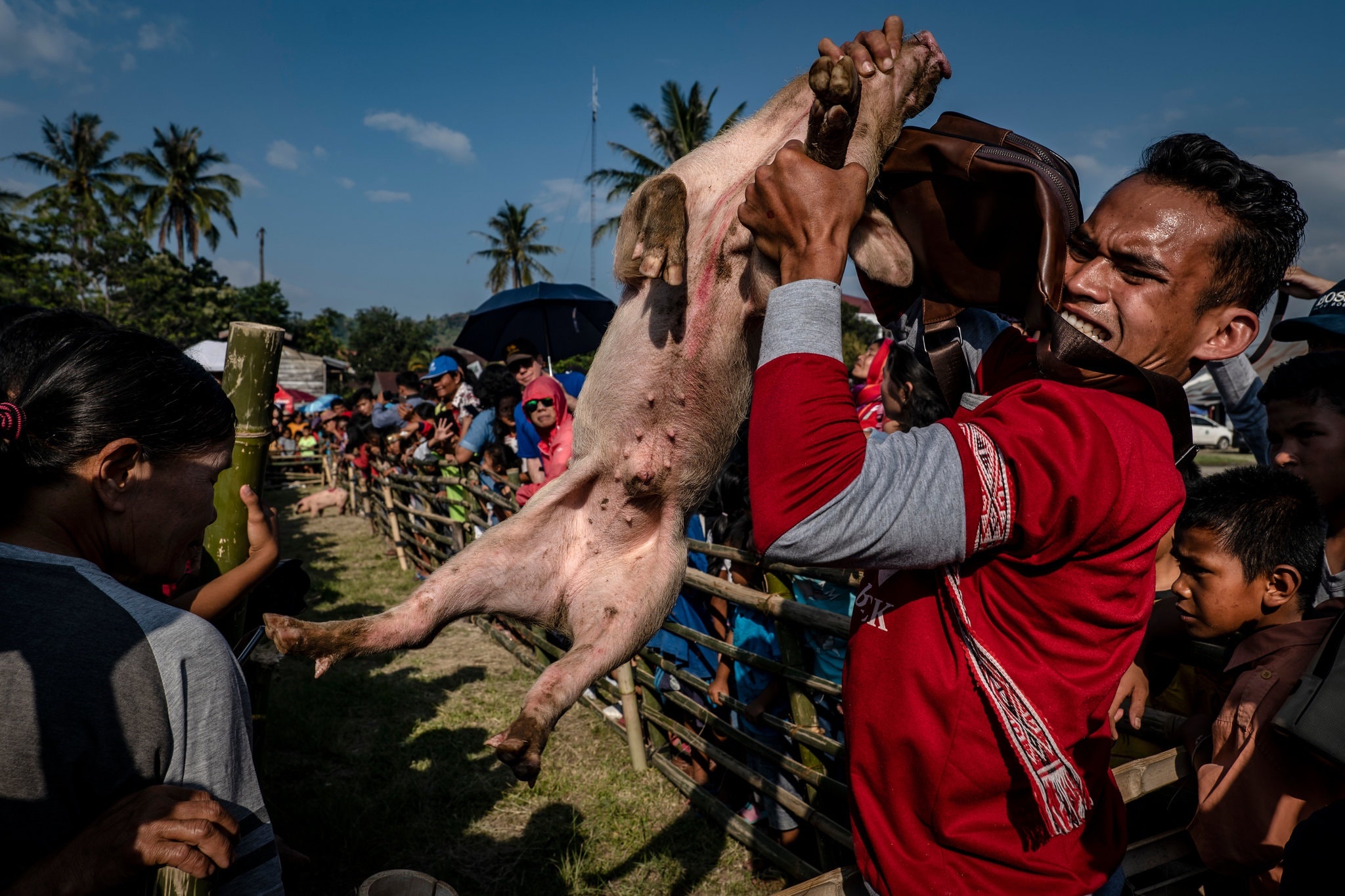 Le hoi lon dac biet o dat nuoc Hoi giao Indonesia hinh anh