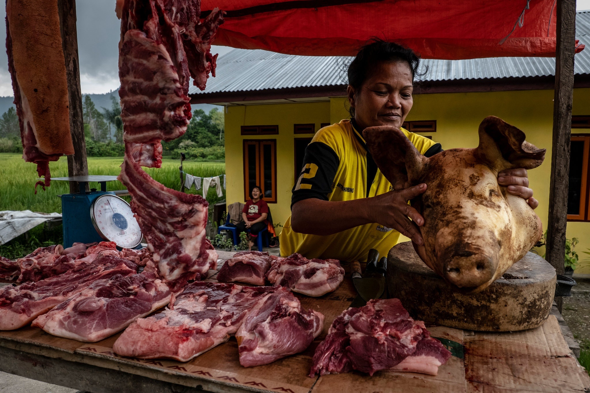 le hoi lon o Indonesia anh 8