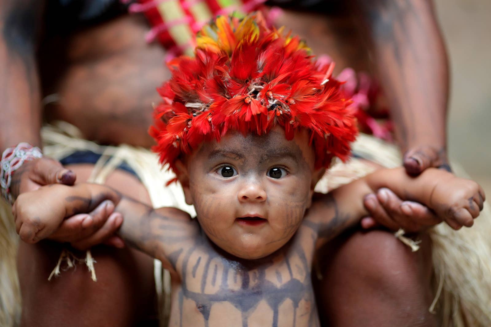 Dieu nhay cua bo lac Brazil, co vat tu lang mo Ai Cap vao top anh tuan hinh anh