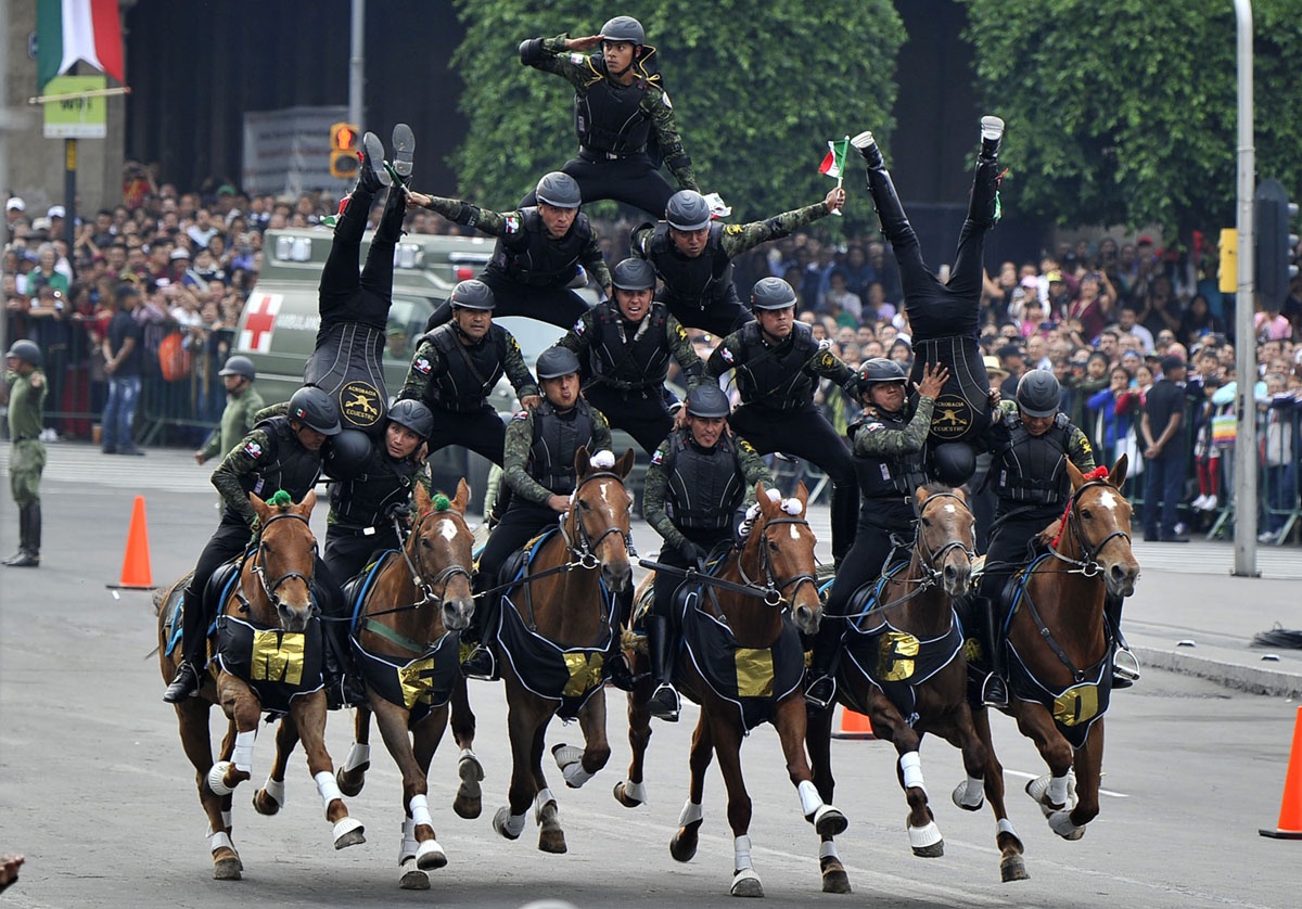 dieu tran luan toi Tong thong Trump anh 6