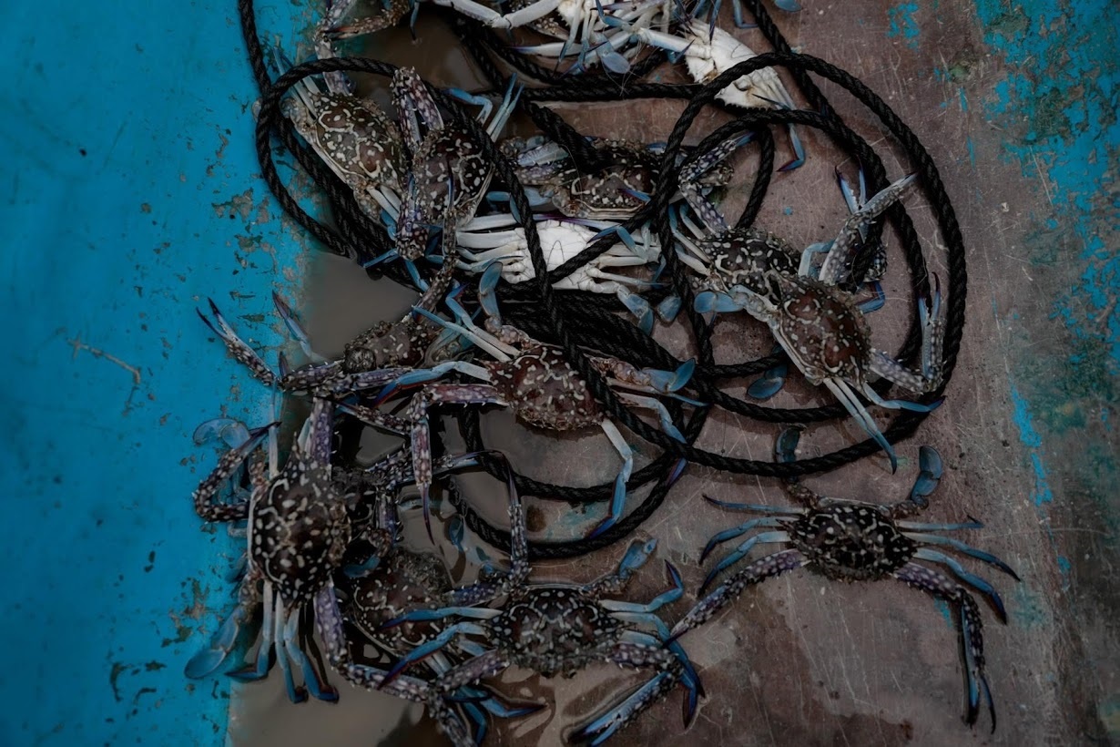 nuoc bien dang anh 8