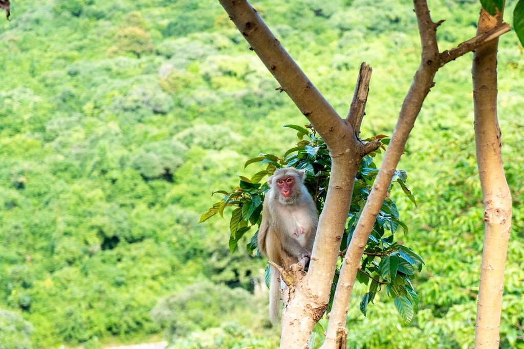 du lich Da Nang anh 7
