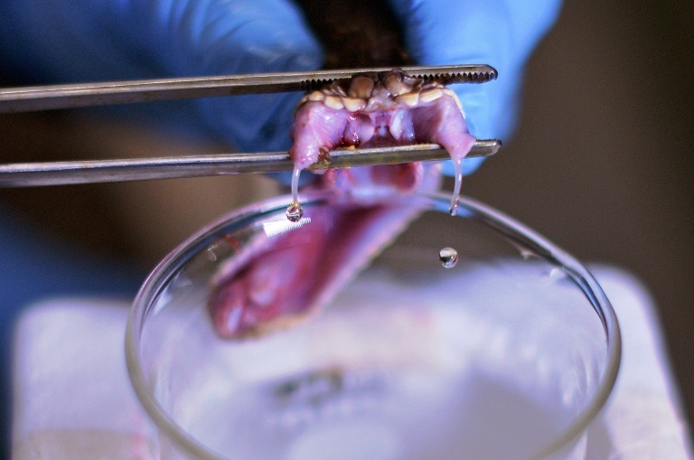 chat khang noc doc anh 5