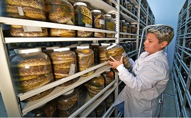 chat khang noc doc anh 2